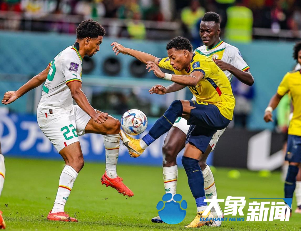 关于塞内加尔力克巴西，布鲁诺关键制胜的信息