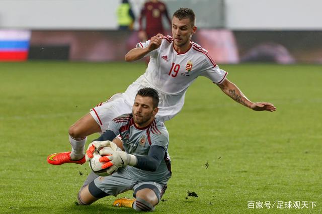 匈牙利主场击败波兰取得一场胜利