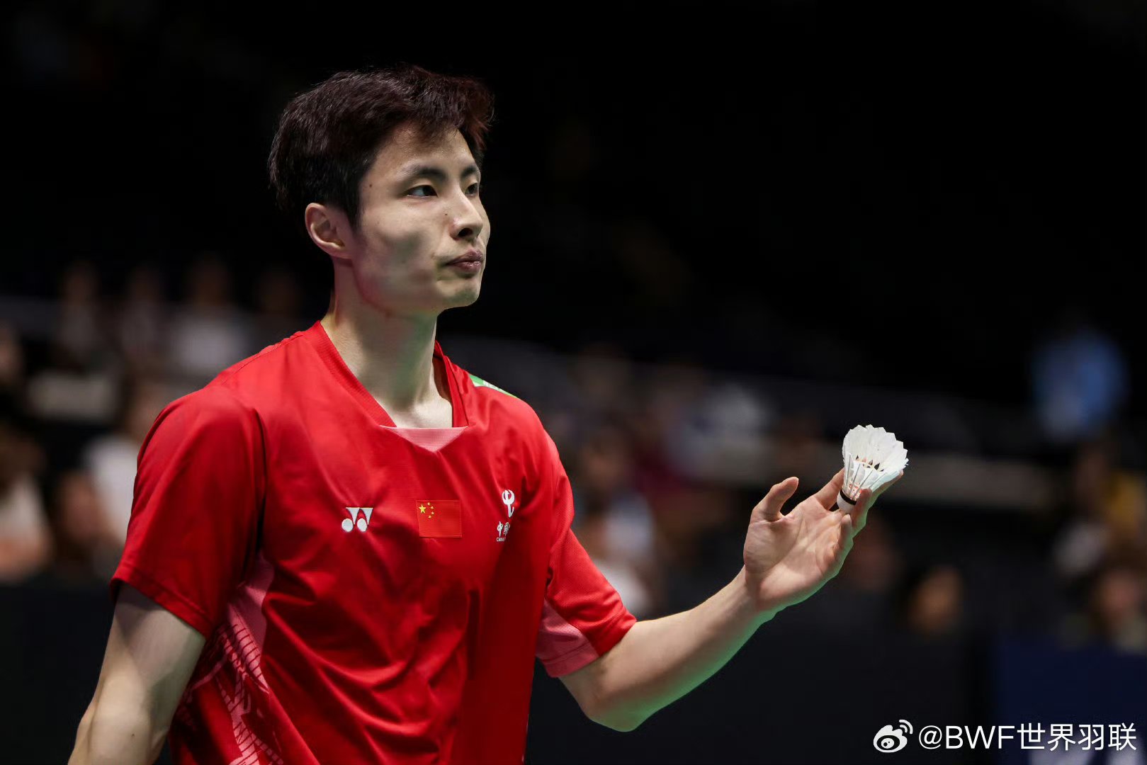 开云平台-德国队力克马来西亚队，石宇奇统治全场的简单介绍