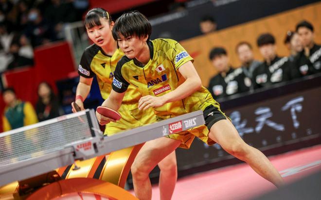 德国队碾压法国队，张本智和带队取胜的简单介绍